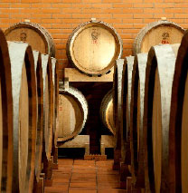 Verkostungsraum mit Weinregal