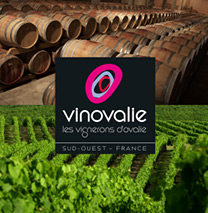 Bildmarke Vinovalie
